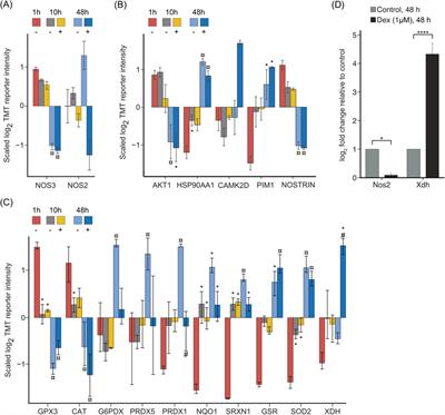 Mouse liver sinusoidal endothelial cell responses to the glucocorticoid receptor agonist dexamethasone